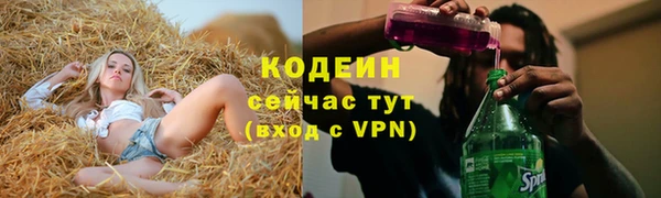 индика Богданович